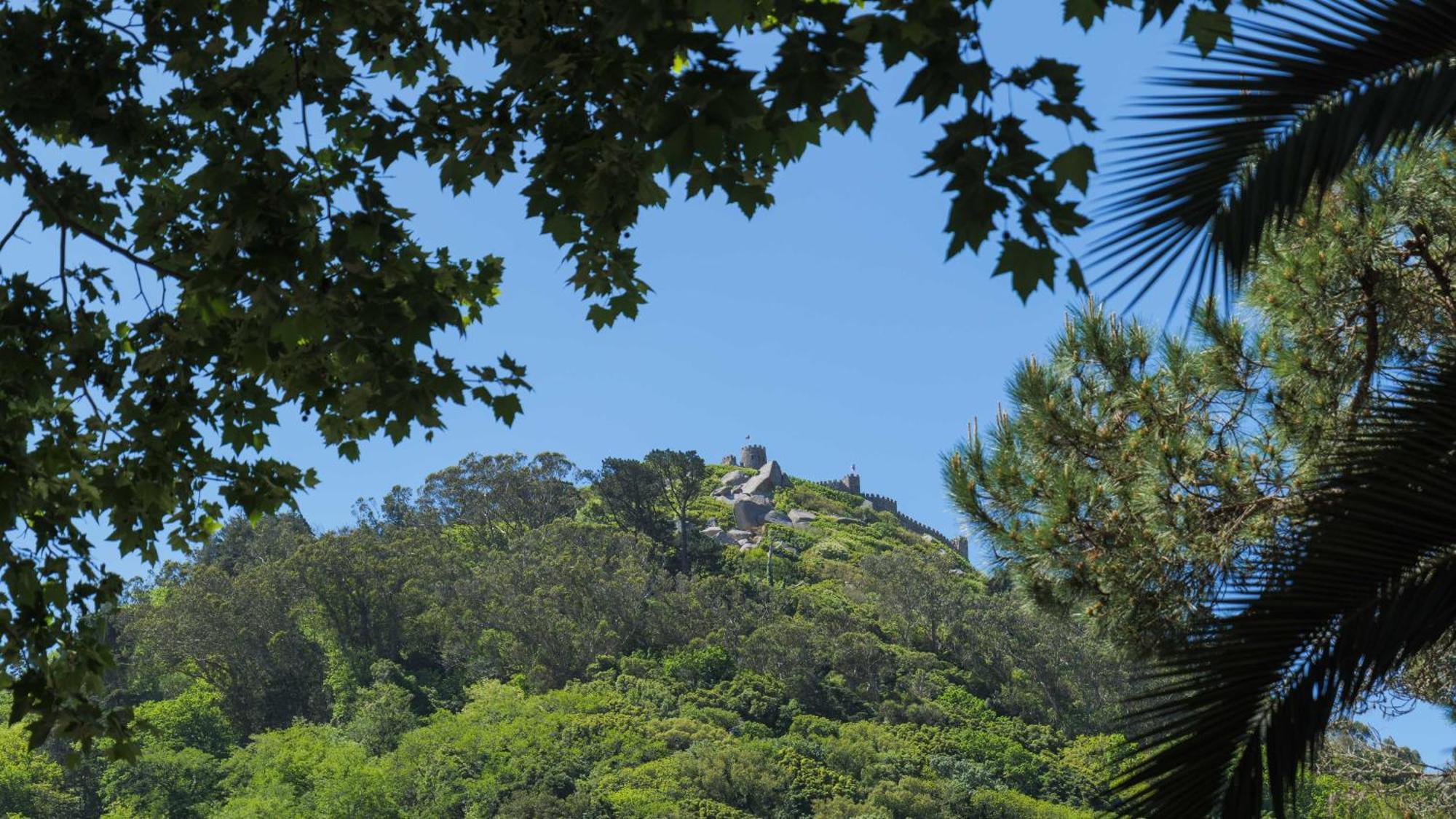 Luxurious Royal Estate In Historic Sintra Paradise Екстериор снимка
